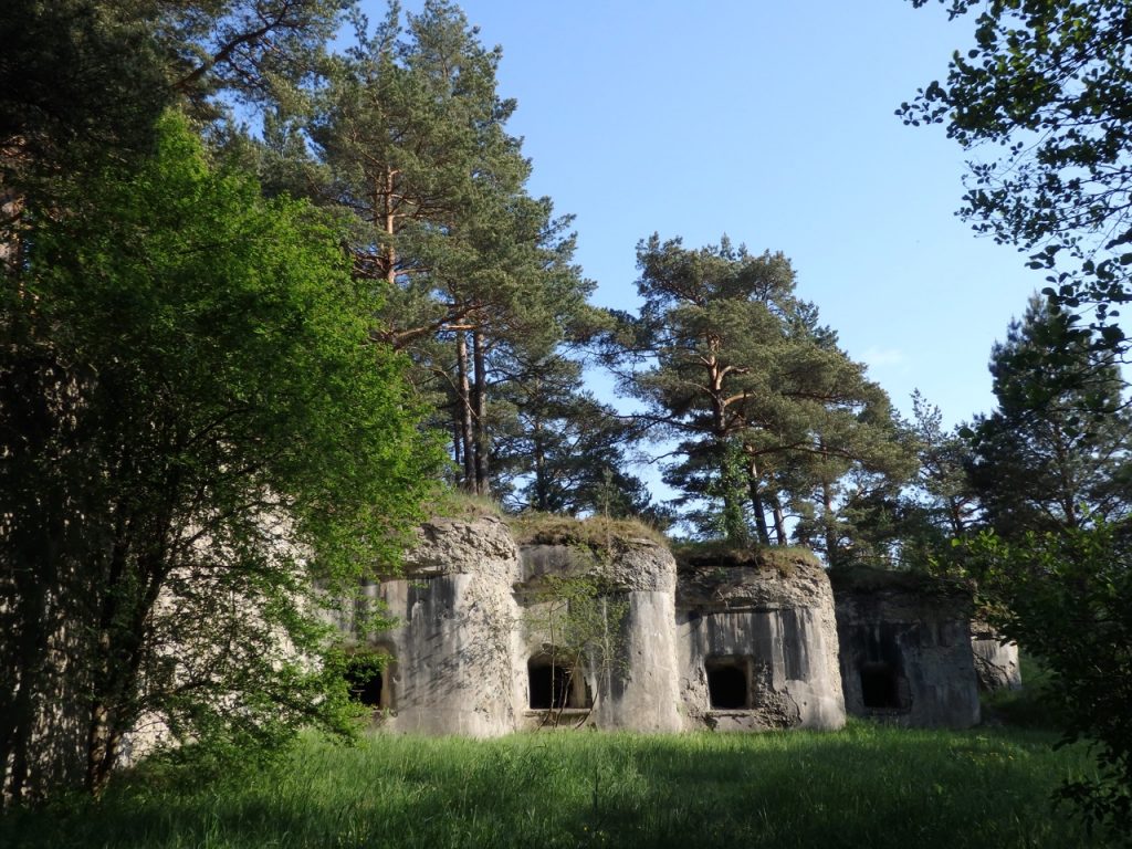 Militārās fortifikācijas drupas priežu meža ielokā