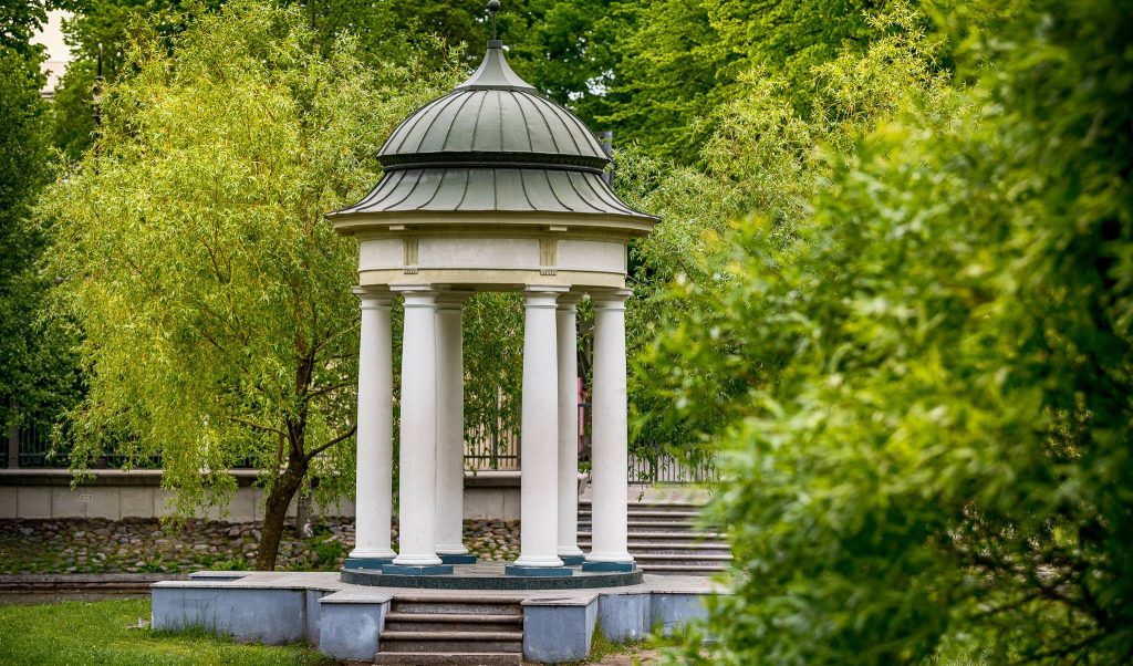 Gulbju dīķa lapene vasarā