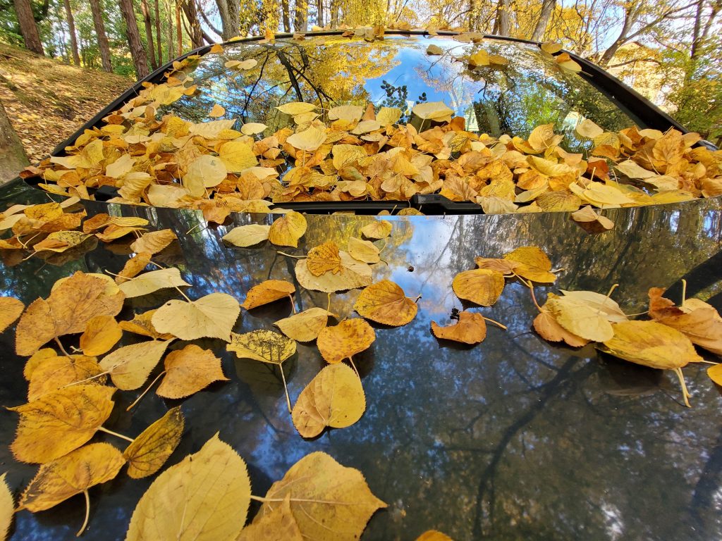 Rudens lapas uz mašīnas