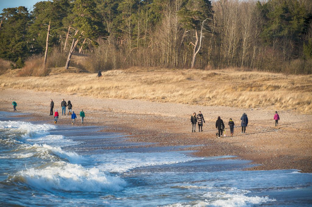 Ģimenes vairākos bariņos staigā gar jūras krastu, blakus mežs